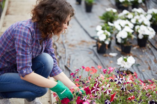 Gardeners Finsbury accessibility statement introduction image