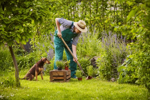 Checking tools and identifying hazards during garden maintenance
