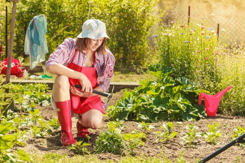 Aeration and overseeding for lawn care in Finsbury