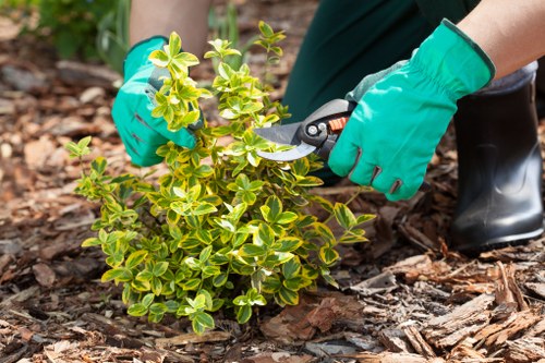 Garden waste recycling and sustainable gardening in Finsbury