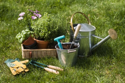 Gardeners Finsbury improving a small urban garden