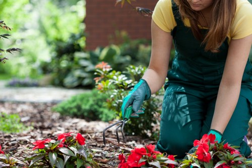 Gardening service terms and conditions introduction
