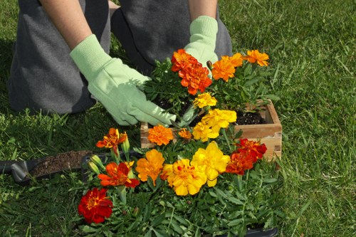 Service liability and waste disposal policy
