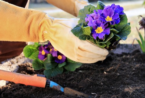Local gardeners in Finsbury improving garden structure and health