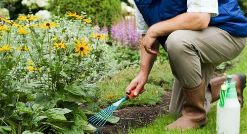 Urban lawn care work in a Finsbury outdoor space