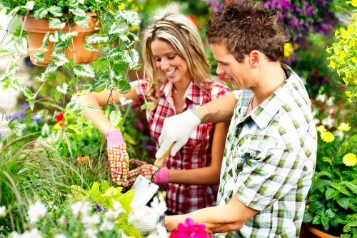 Gardeners Finsbury caring for lawns and courtyard spaces