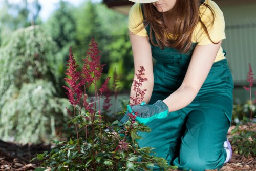 Well-shaped hedge maintenance in a Finsbury residential garden