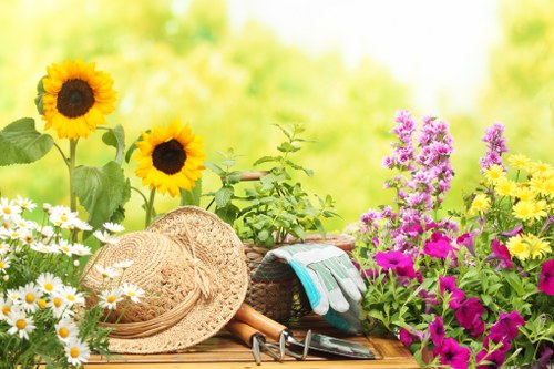 Finsbury garden specialists focused on healthy planting