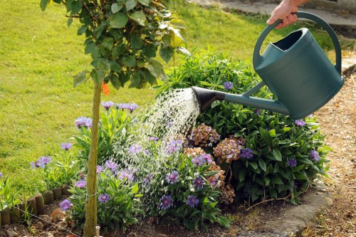 Professional grass cutting in Finsbury creating a tidy finish