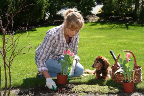 Finsbury gardening service pruning and planting flowers