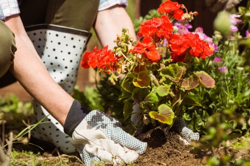 Recycling-focused gardening and borough waste separation