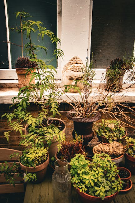 A cozy small garden terrace featuring a weathered wooden table surrounded by matching benches and chairs, set against a brick wall with a window. The table is decorated with potted plants, including s